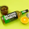Beyond Spirits Plant Based Whisky Alternative